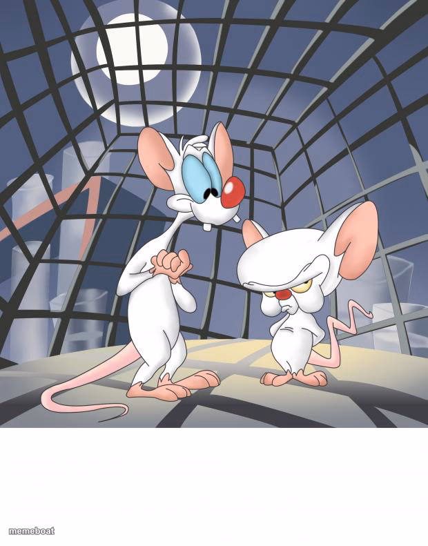 Pinky and the brain - meme generator image preview