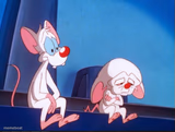pinky and the brain