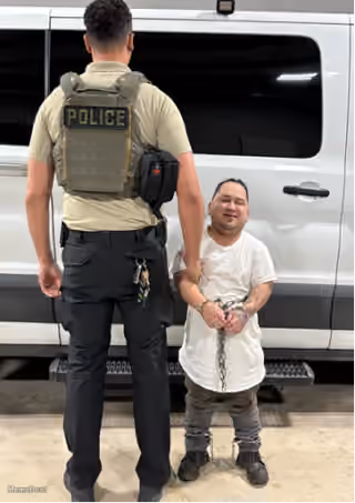 Pint-sized Predator