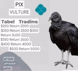 Pix vulture