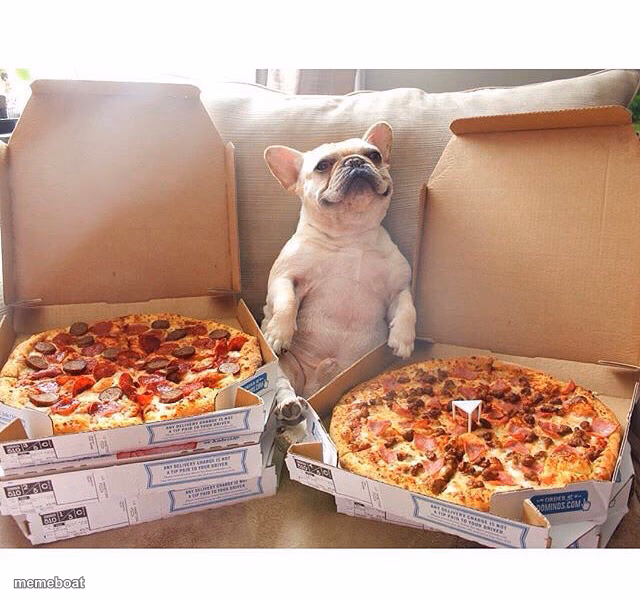 Pizza Dog - meme generator image preview