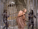 Planet of the Apes