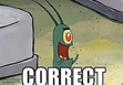 Plankton correct