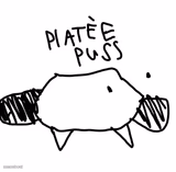 Platée puss