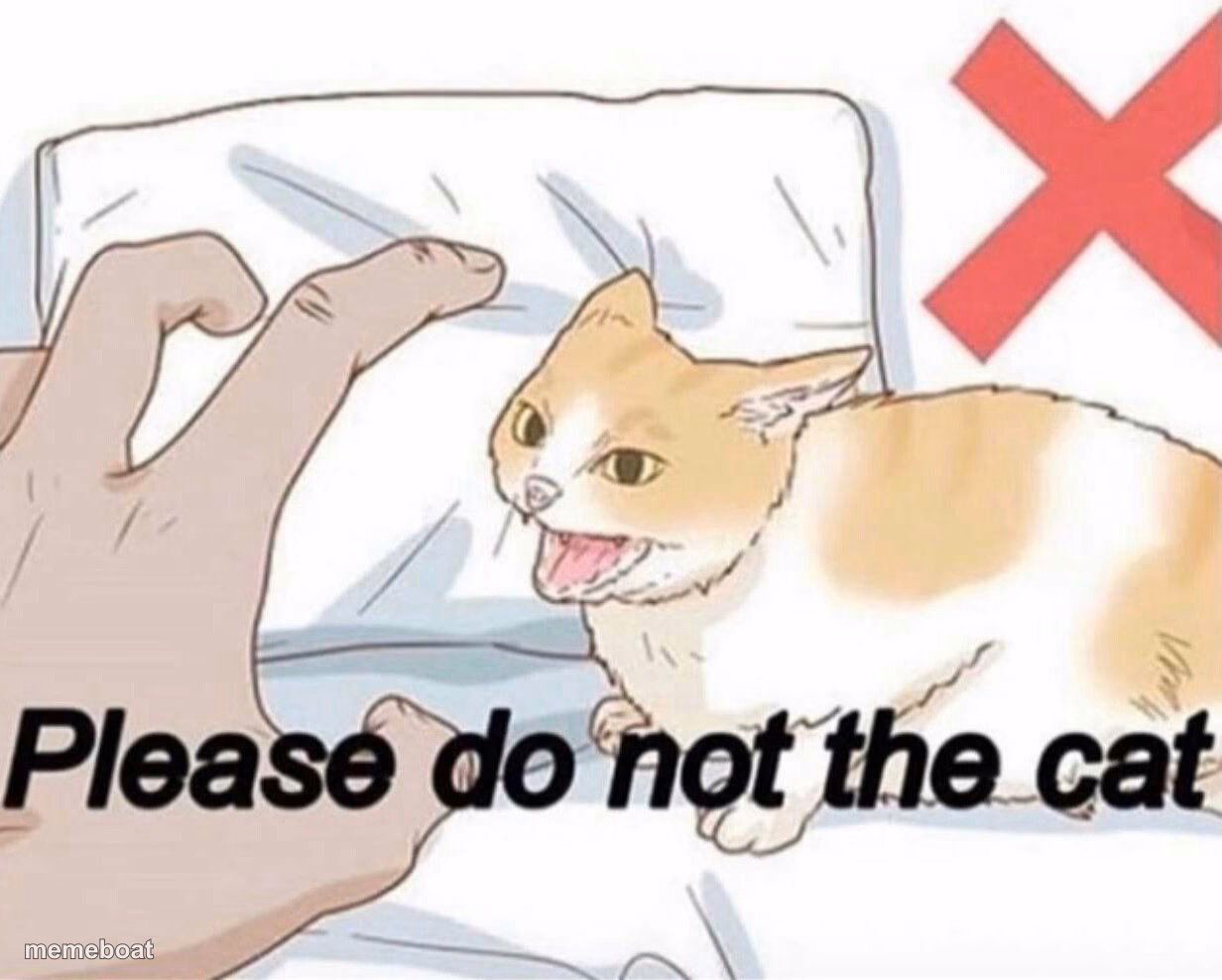 Please do not the cat - meme generator image preview