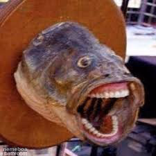Pogfish - meme generator image preview
