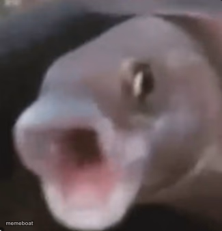 Poggers Fish - meme generator image preview