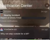 Pokemon ?