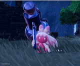 Pokemon tinkaton