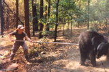Poking the bear
