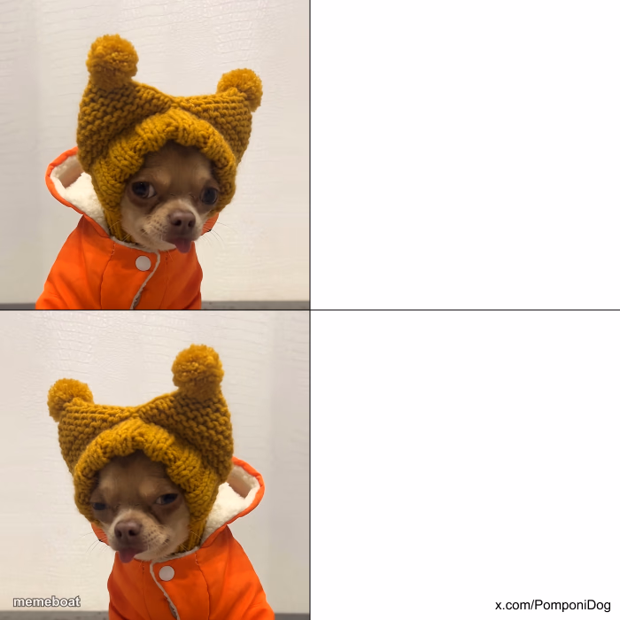 Pomponi the Dog - meme generator image preview