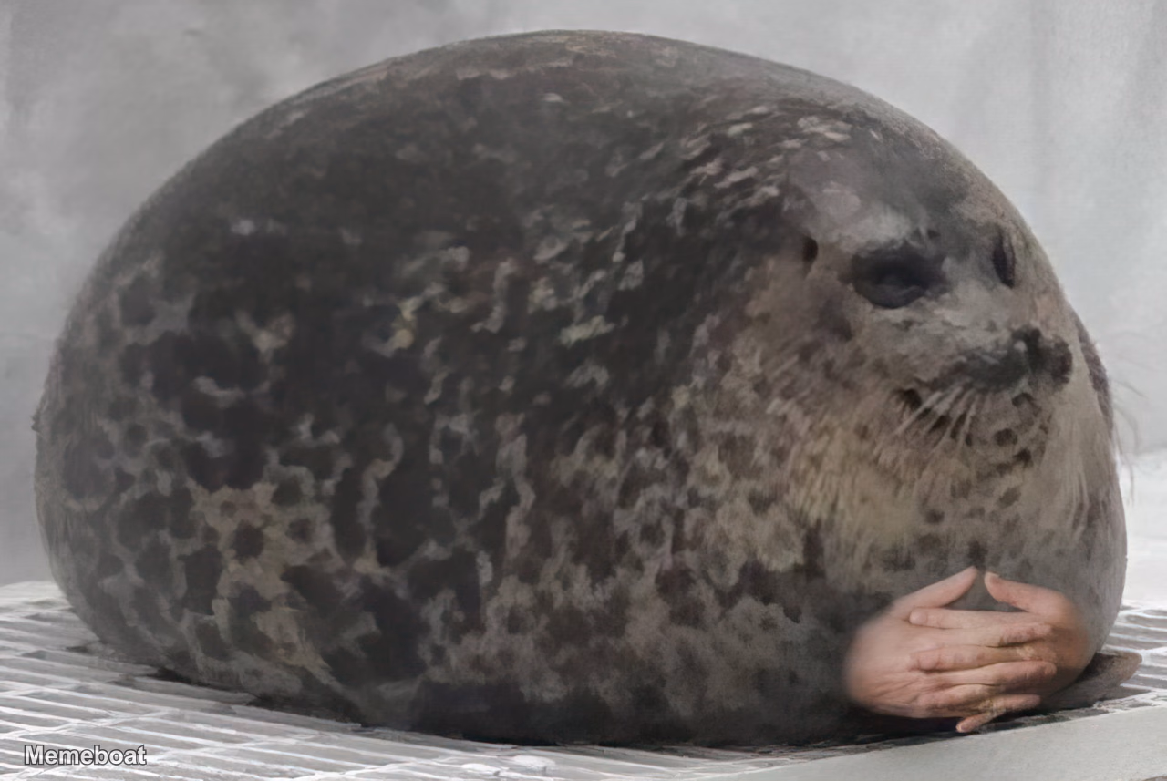 Pondering Seal - meme generator image preview