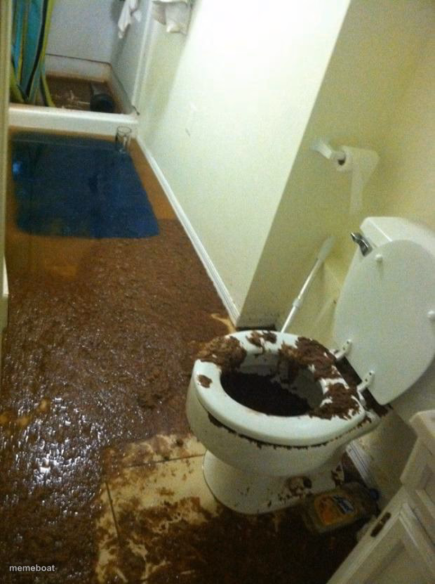 poop - meme generator image preview