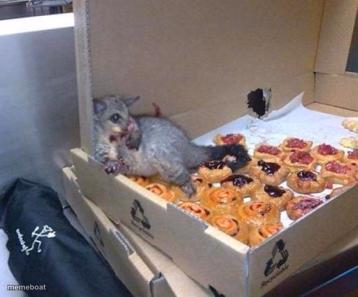 Possum - meme generator image preview