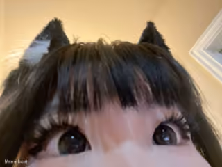 POV Cat Girl Stare