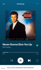 POV Spotify mobile