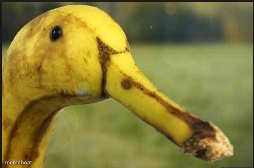 produce - meme generator image preview