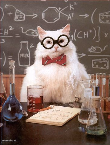 Professor Cat - meme generator image preview