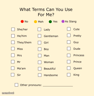 Pronouns Sheet - meme generator image preview