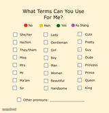 Pronouns Sheet