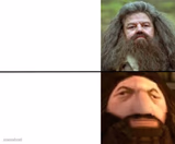 Ps1 Hagrid template