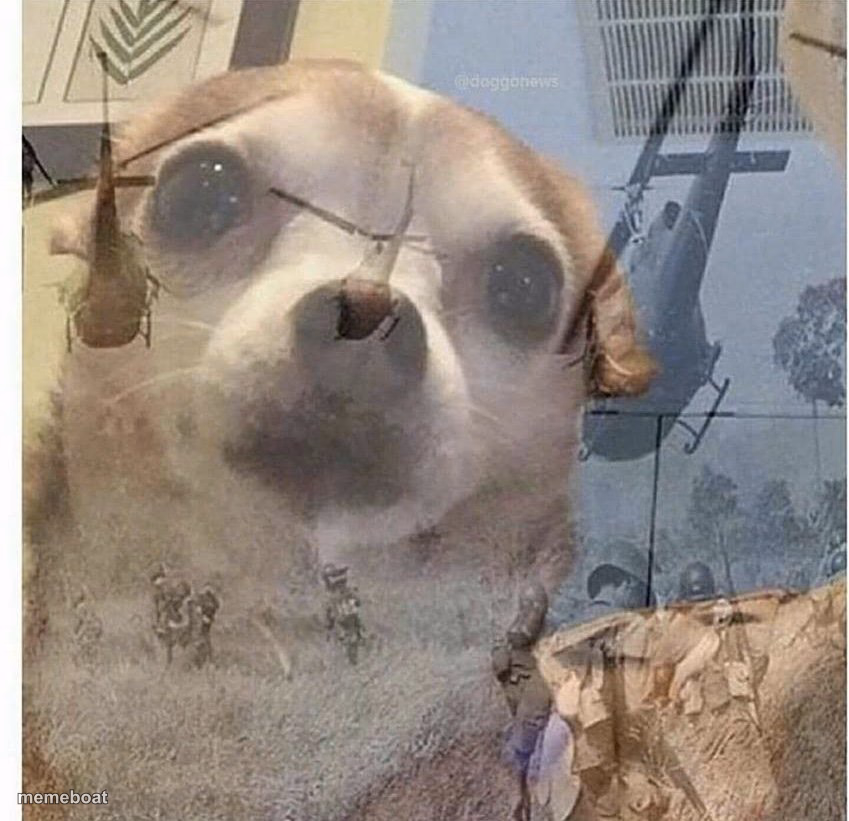 PTSD Chihuahua - meme generator image preview