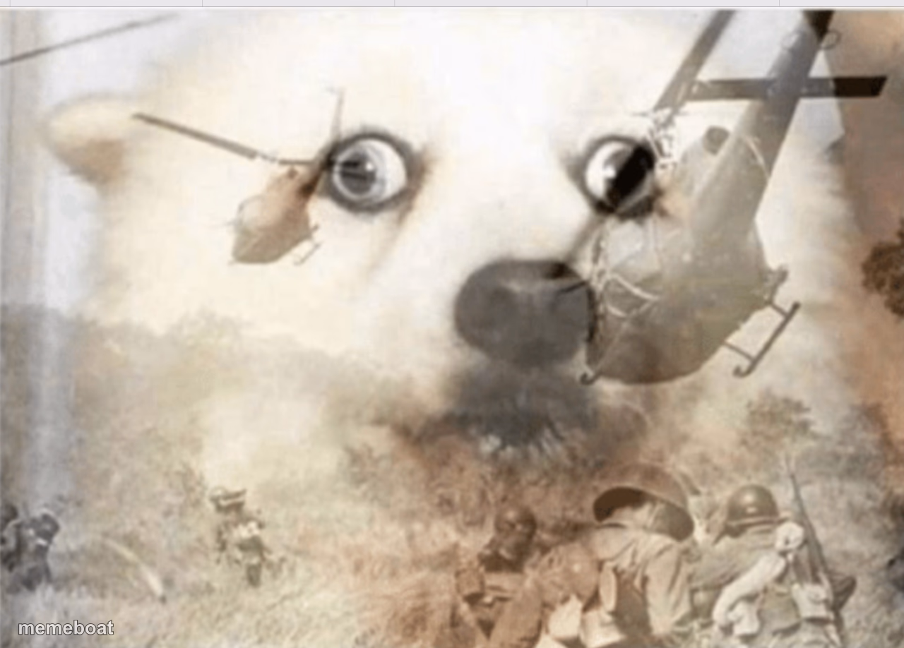 PTSD dog - meme generator image preview