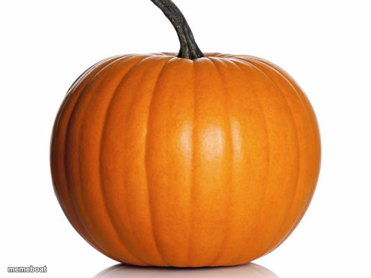 pumpkin - meme generator image preview