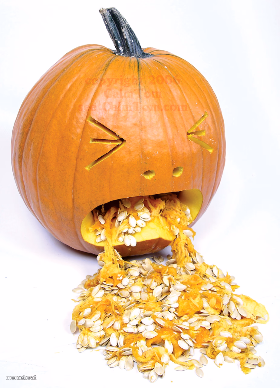 Pumpkin vomit - meme generator image preview