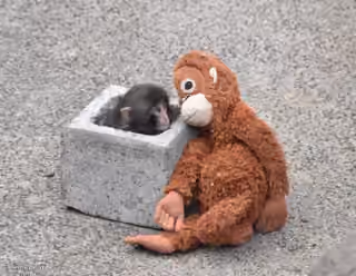 Punch Sheltered in Concrete