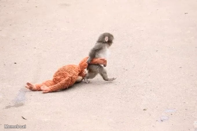 Punch with Plushie - meme generator image preview