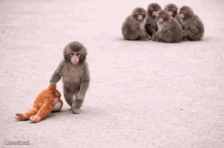 Punch with Plushie Leaving His Group - meme generator image preview