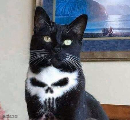 Punisher cat - meme generator image preview