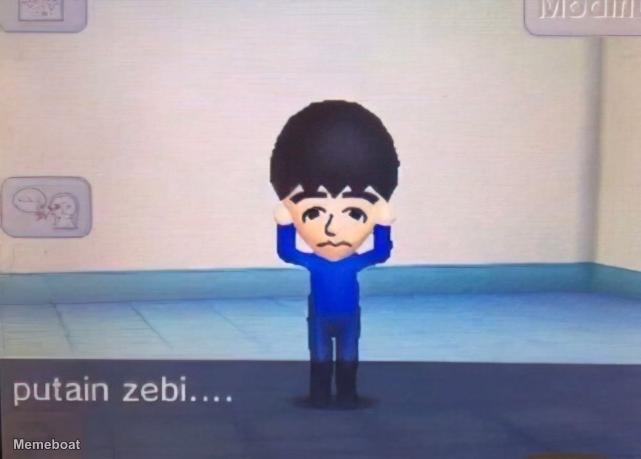 Putain Zebi - meme generator image preview