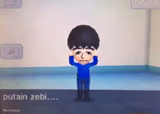 Putain Zebi