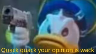 quack quack your opinion is wack