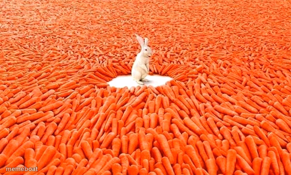 Rabbit - meme generator image preview