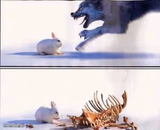 Rabbit Vs Wolf