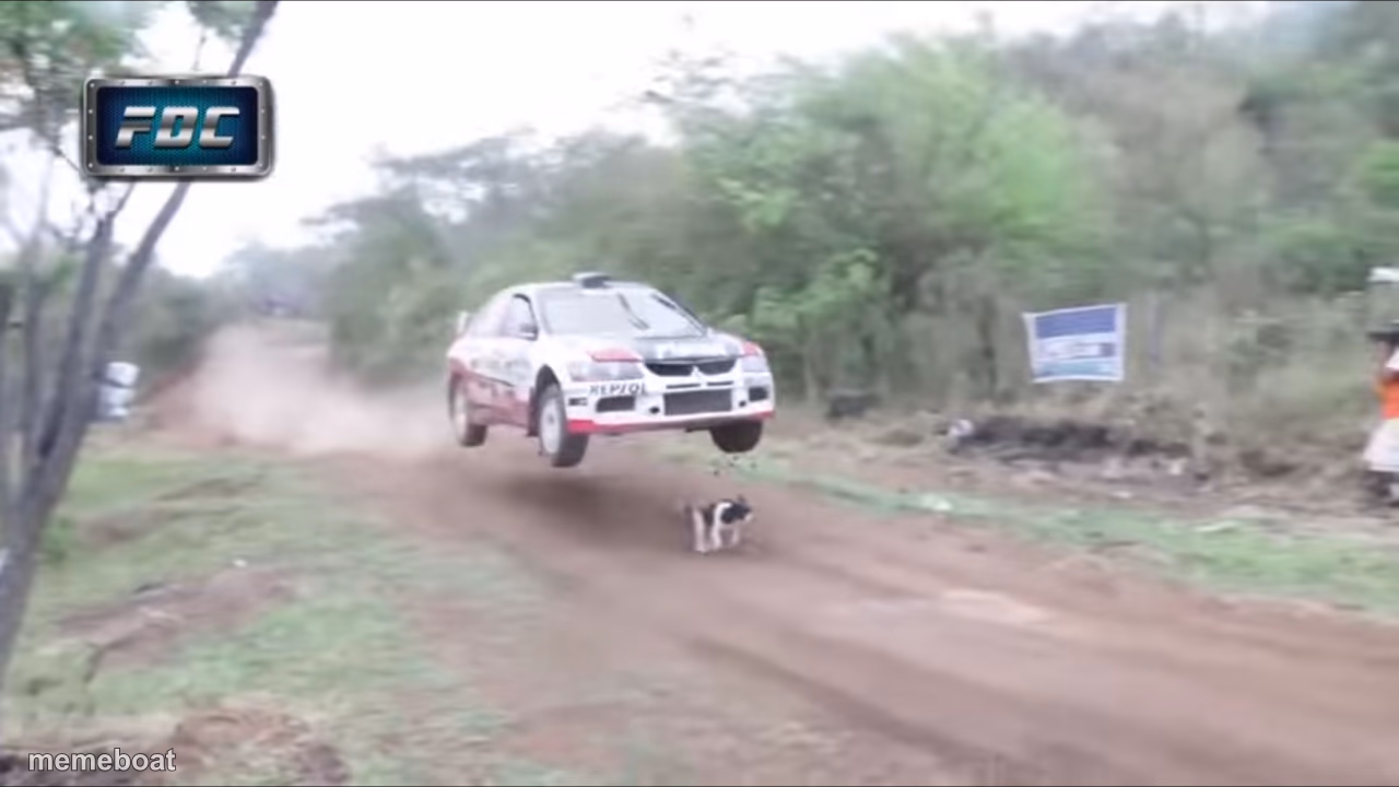 Race car fly over dog - meme generator image preview