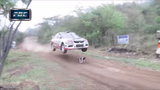 Race car fly over dog