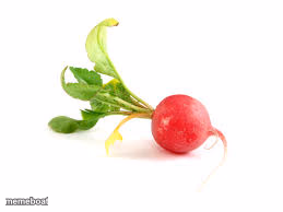 Radish - meme generator image preview