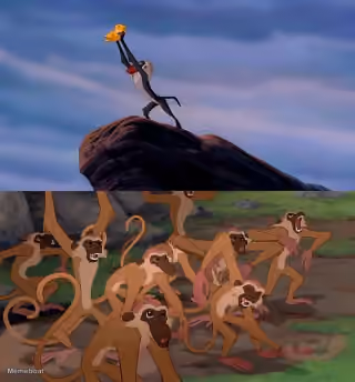 Rafiki Holds Up Simba And Monkeys React