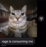 rage is consuming me