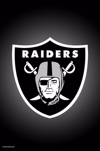 Raiders logo - meme generator image preview