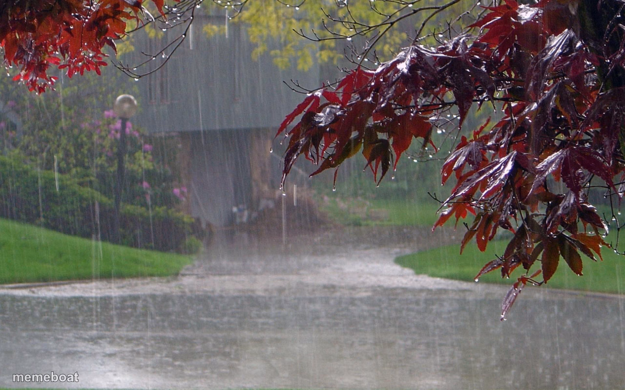 rainy day - meme generator image preview