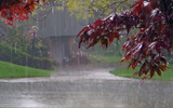 rainy day