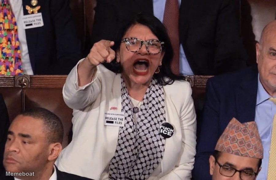 Rashida Tlaib Screaming - meme generator image preview