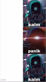 Ray kalm panik kalm