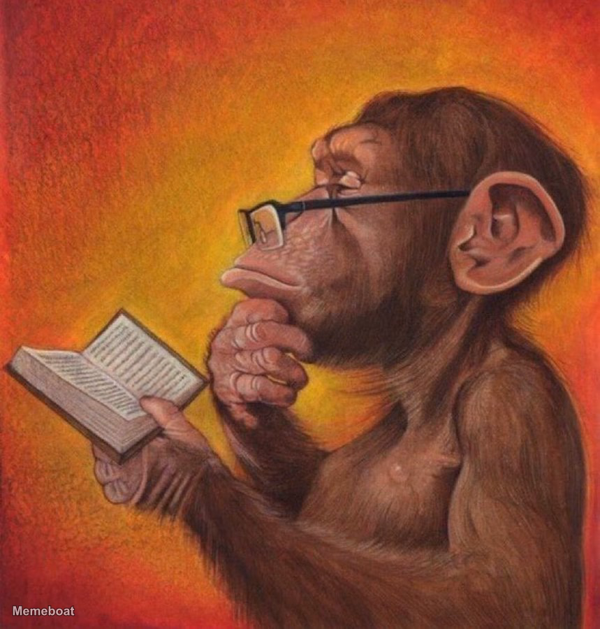 Reading Monkey - meme generator image preview