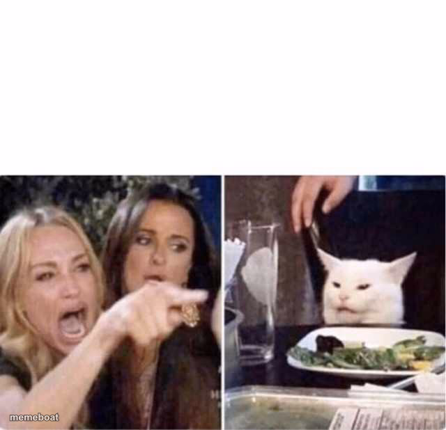 Real housewives screaming cat - meme generator image preview